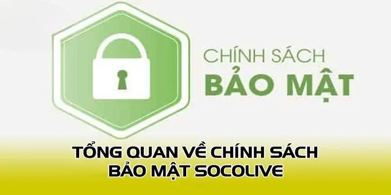 Tổng Quan Về Chính Sách Bảo Mật Socolive