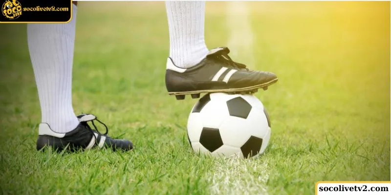 Giới thiệu về Socolive TV - một nền tảng trực tiếp bóng đá chất lượng cao